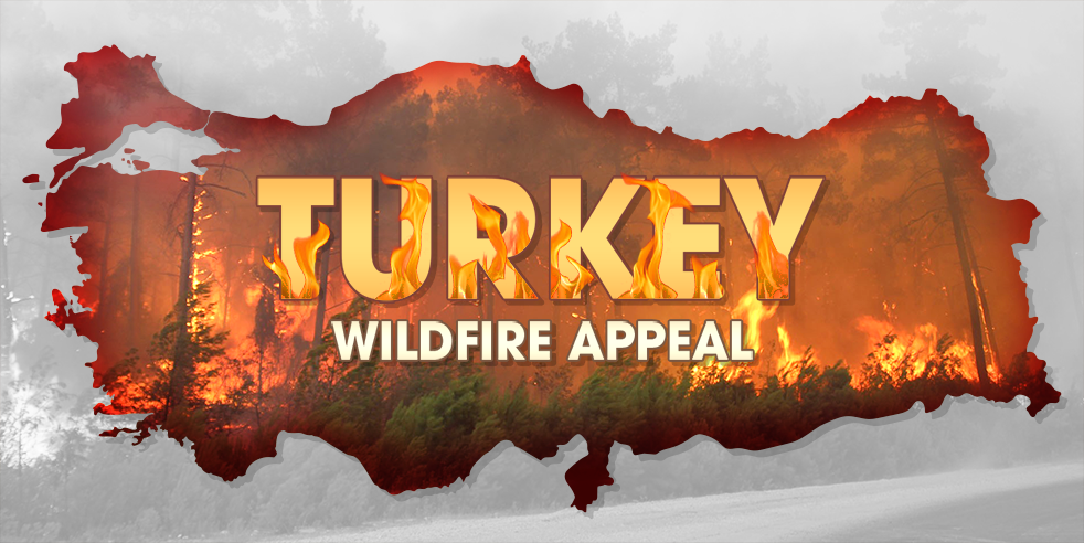 Wildfire